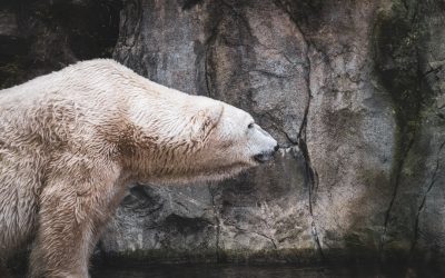 하루 10분 생각 정리, 삶을 바꾸는 기적