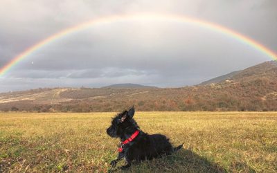 취향저격! 부다페스트 호텔 완벽 정리 (가격대별 15곳)