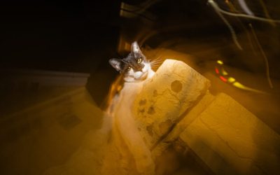 아테네 완벽 숙소 가이드: 예산별 호텔 추천 15곳