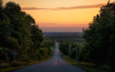하루 물 2리터 챌린지: 30일 변화 후기