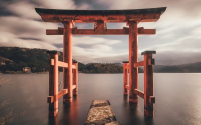 2025 바르샤바 최고의 숙소: 가격대별 호텔 완벽 가이드