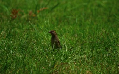 티라나 여행, 완벽한 숙소 찾기: 2025년 가격대별 호텔 총정리