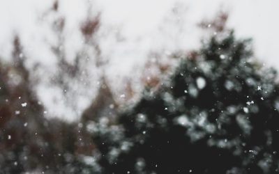 카페인 없이 집중력 높이는 7가지 비법