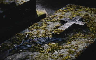 하루 10분 투자, 한 달 4kg 감량 비법 공개