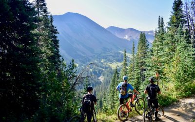 남자 다이어트 식단, 헬스 없이도 가능한 플랜