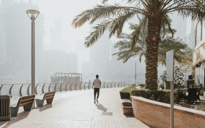 출산 후 복횡근 코어 운동: 건강한 회복 루틴