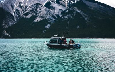 매일 복근운동, 과연 괜찮을까? 회복과 성장의 비밀