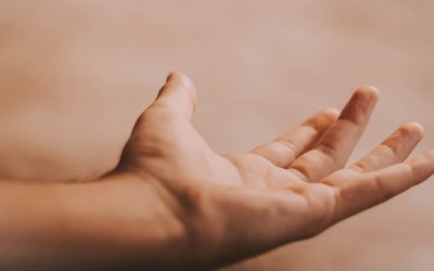 숨겨진 근육, 체지방률이 답이다