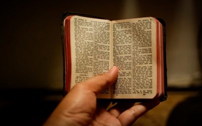 뱃살 빼고 식스팩 만드는 고단백 저탄수 식단 가이드