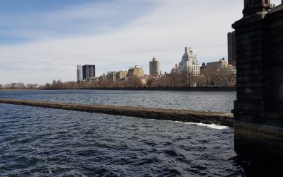 복횡근 활성화: 코어 강화 최고의 운동 5가지