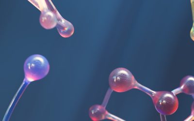 헬스장 없이 살 빼는 프로틴 요리 TOP5