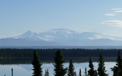 플랭크 vs 크런치: 복근 운동, 승자는?