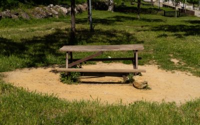 고도비만도 가능한 의자 드로우인: 앉아서 코어 강화