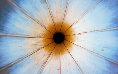 집중력 높이는 드로잉의 비밀: 과학적 효과와 실천법