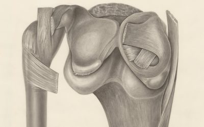 O다리 교정 2달 후기: 놀라운 다리 변화 공개!