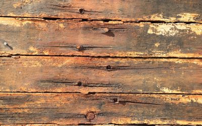 플랭크 vs 크런치: 복근 운동의 진실과 선택 가이드