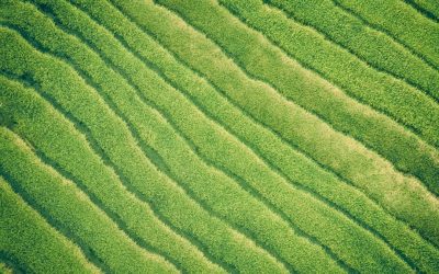 지속가능한 미래를 위한 세계 친환경 정책 탐구