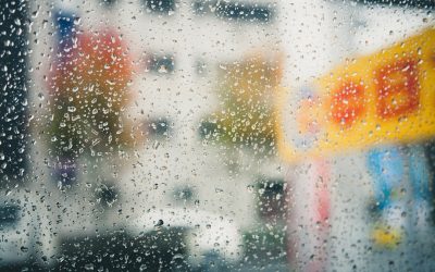 세계 날씨 특징과 계절 변화: 여행자를 위한 완벽 가이드