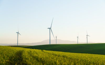 세계 전기 사용량과 에너지 정책 탐구