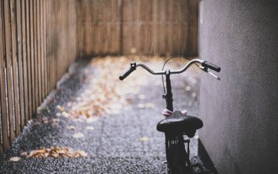 세계 주요국의 자전거 인프라 현황: 지속 가능한 도시의 미래