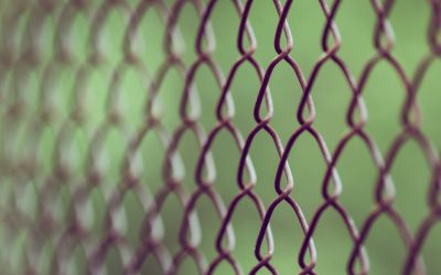 해외 창업 장벽과 절차: 국가별 성공 전략