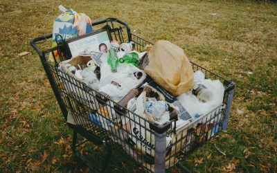 쓰레기 없는 삶, 제로 웨이스트로 지속 가능한 미래를 만들다