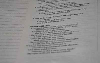 하루 1시간 투자로 영어 마스터하기 실험: 2025년 최신 전략 공개!