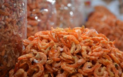 한국 전통 발효 식품의 힘: 장 건강부터 면역력까지