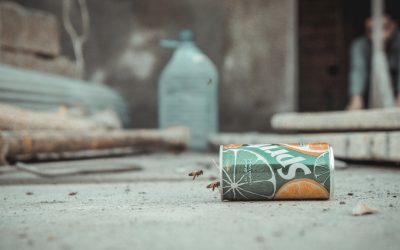 제로 웨이스트 시작 가이드: 지속 가능한 삶의 첫걸음