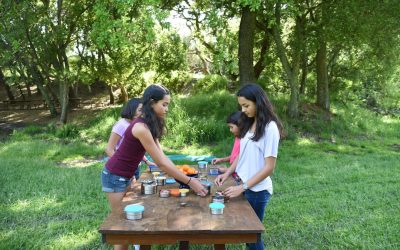 제로 웨이스트: 일상 속 친환경 실천 가이드