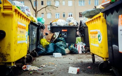 쓰레기 제로 라이프: 지속 가능한 삶을 위한 실천 가이드