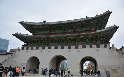 2025년 정부 정책 자금: 우리 기업의 성장 엔진을 점화하다