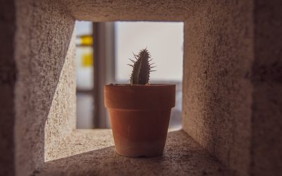 유튜브 구독자 및 조회수, 2025년 최신 전략으로 폭발 성장! 🚀