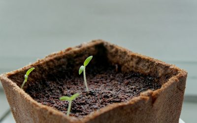 유튜브 구독자 및 조회수 폭발! 2025년 최신 유튜브 성장 전략 완벽 가이드