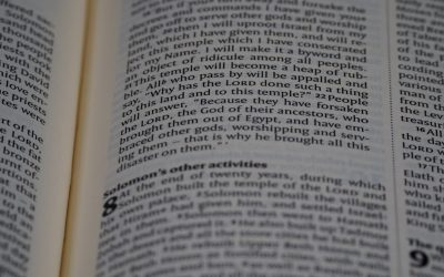 워드프레스로 구글 애드센스 수익 극대화하기: 2025년 최신 가이드