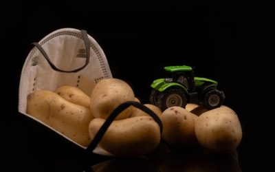 2025년 최신 다이어트 트렌드: 나에게 맞는 다이어트 방법 찾기 (저탄고지, 간헐적 단식, 지중해식 비교)