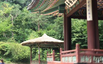 2025년 가을, SNS를 뜨겁게 달굴 숨은 여행지 BEST 20 ✨