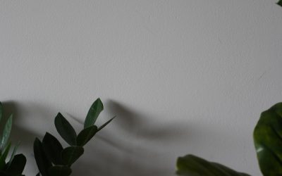 MZ세대 갓생 살기: 2025년 자기계발 트렌드 완벽 분석