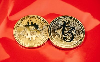 MZ세대 재테크, 2025년 성공 투자 로드맵