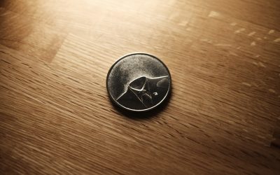 구글 SEO & 애드센스: 수익형 블로그 성공 로드맵