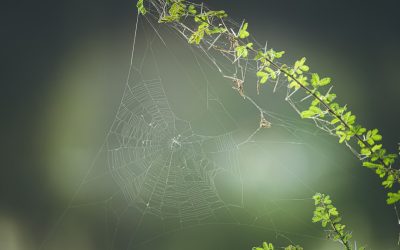 블로거를 위한 구글 SEO: 2025년 최신 트렌드와 성공 전략 🚀