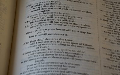 하루 1시간 투자로 영어 마스터하기, 과연 가능할까요? 🚀 (2025년 최신 가이드)