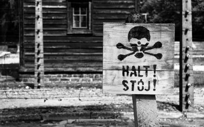 산만한 세상 속, 집중력을 높이는 과학적 방법 10가지 (2025년 최신판)