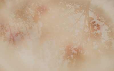 월 100달러로 시작하는 ETF 장기투자: 경제적 자유를 향한 현실적인 첫걸음 🚀