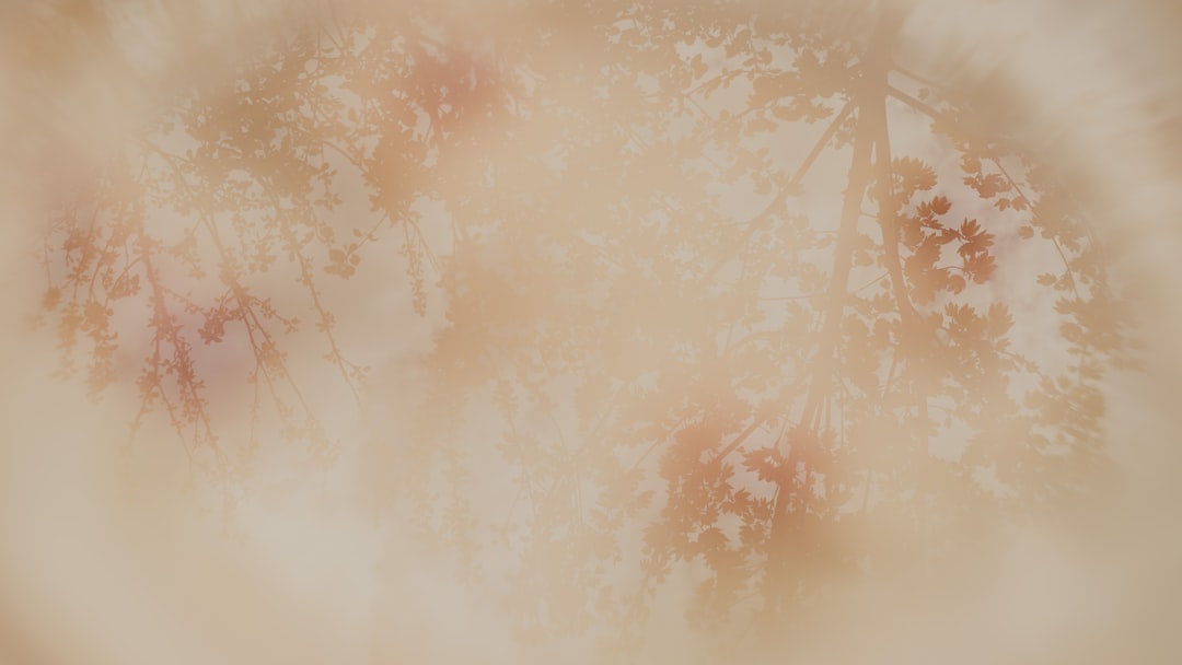 100-etf-1760154602970