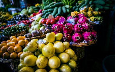 세계의 전통 음식, 단순한 맛을 넘어선 문화유산의 향연 🌍