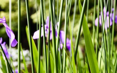 최고의 미니멀리즘 실천 가이드: 2025년 최신 트렌드와 함께하는 삶의 재정비