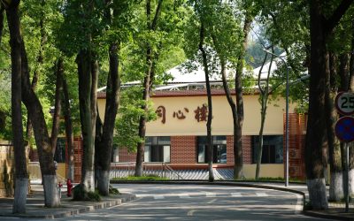 2025년 최신! 우리 집을 바꾸는 정리·수납·청소 꿀팁 대방출 ✨