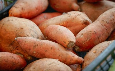 2025년, 세계를 사로잡은 슈퍼푸드: 건강한 미래를 위한 선택!