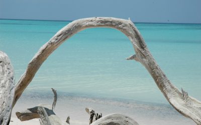 2025년, 당신의 버킷리스트를 채울 전 세계 인기 여행지 & 미식의 성지! ✈️🍽️